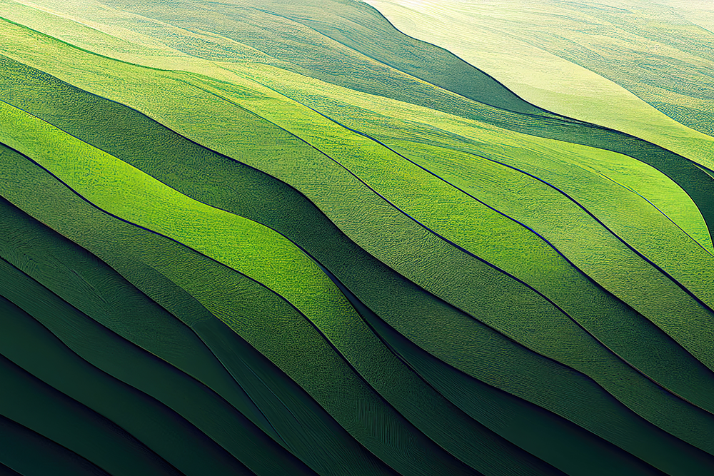 LP_web_banner-green